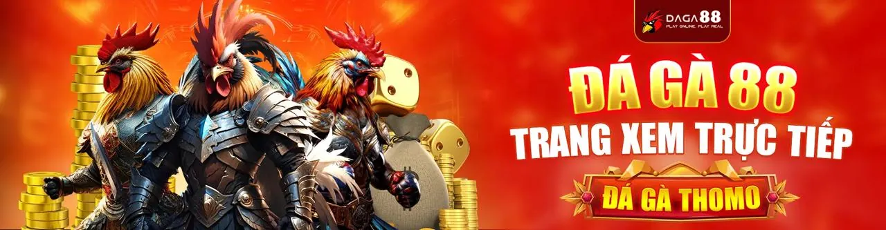 Đá gà trực tuyến NW88 Link với không khí sôi động